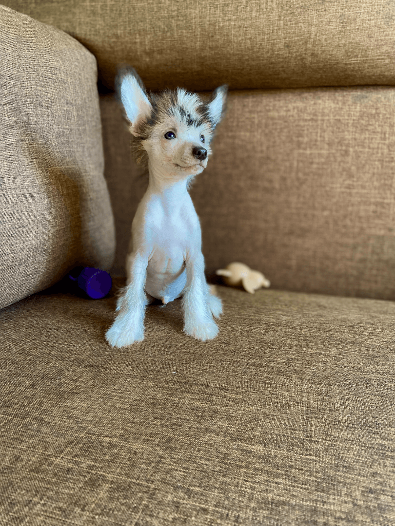 carousel-image-mobile-6