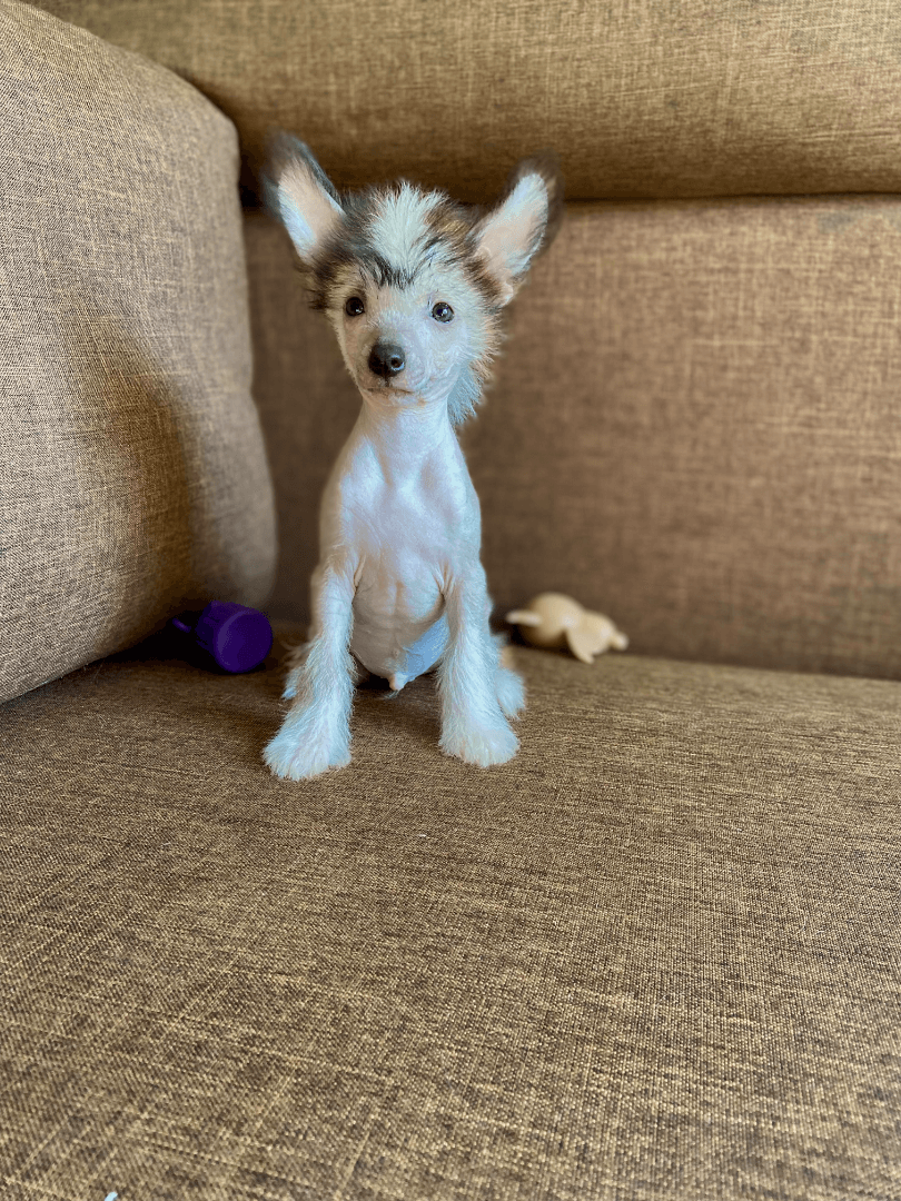 carousel-image-mobile-7