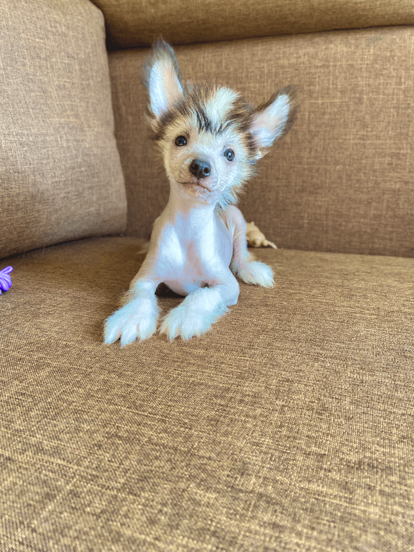 carousel-image-mobile-8