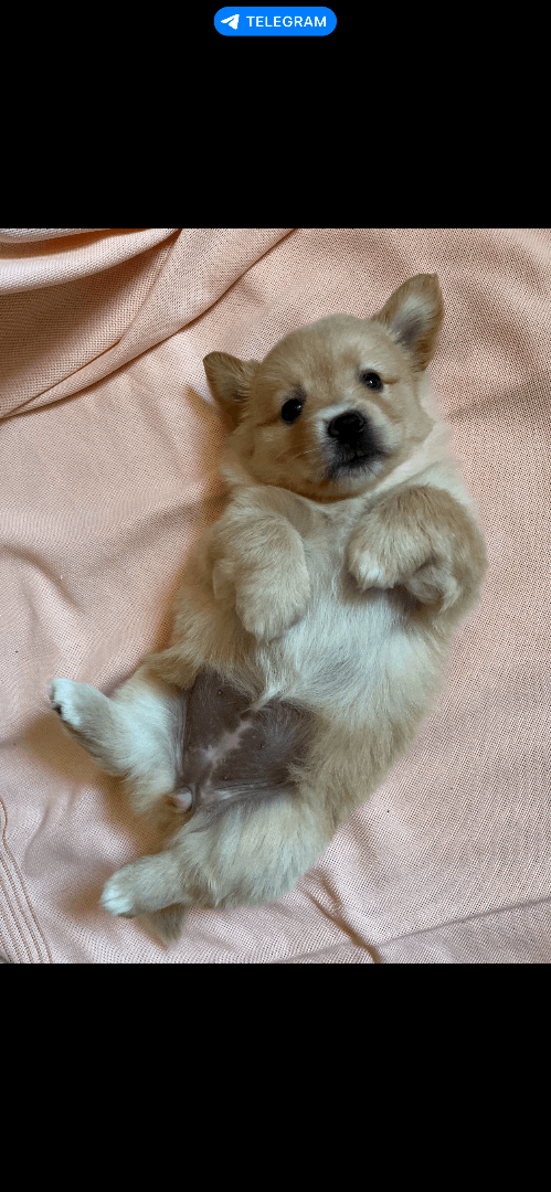 carousel-image-mobile-1