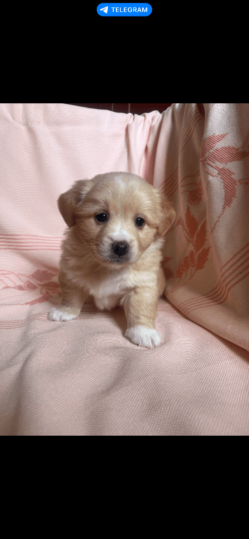 carousel-image-mobile-2