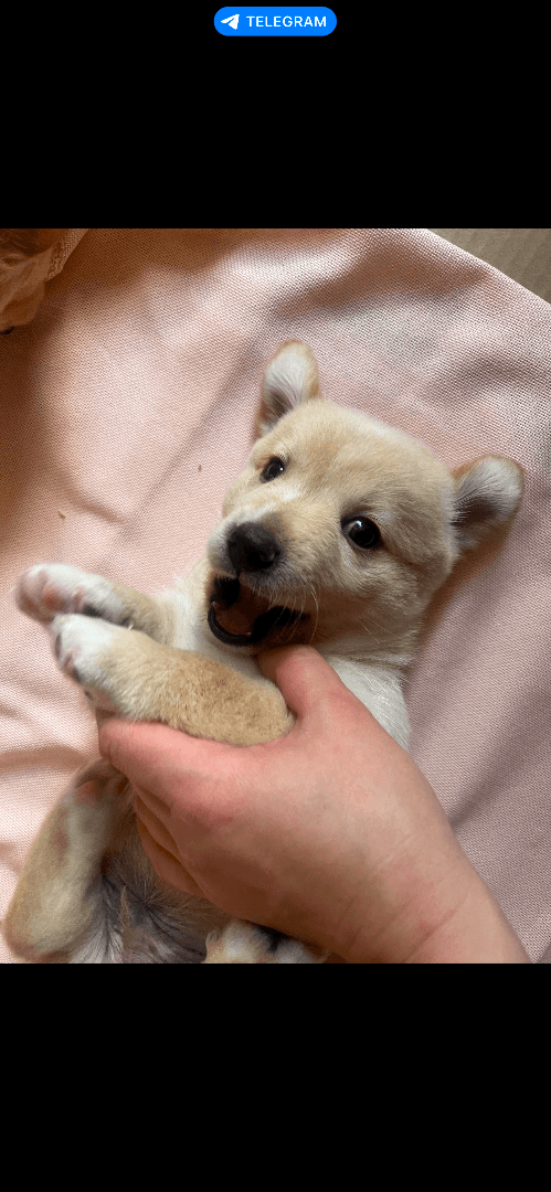 carousel-image-mobile-3