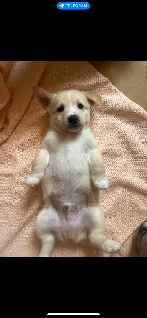 carousel-image-mobile-4