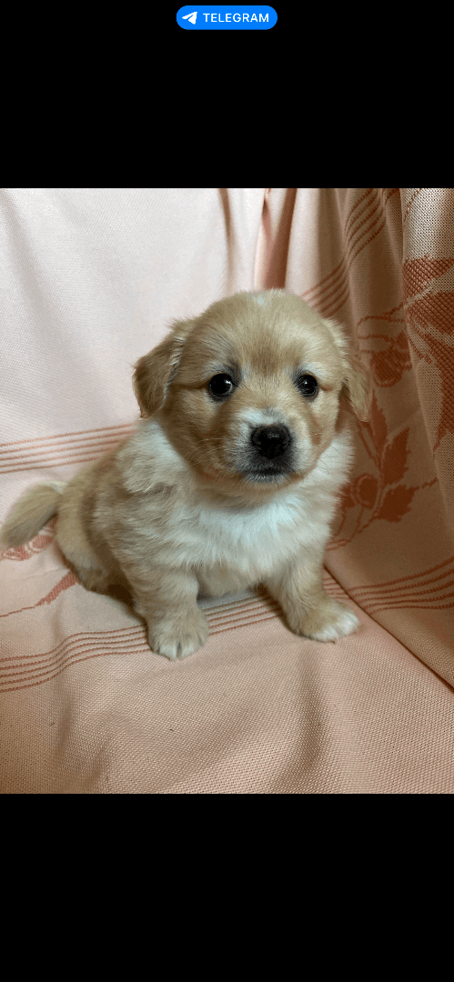 carousel-image-mobile-5