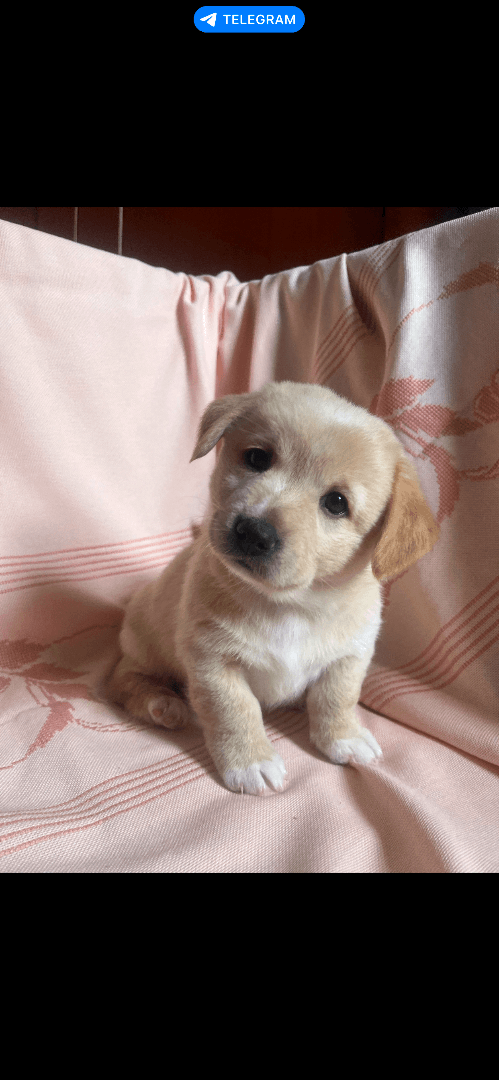 carousel-image-mobile-6