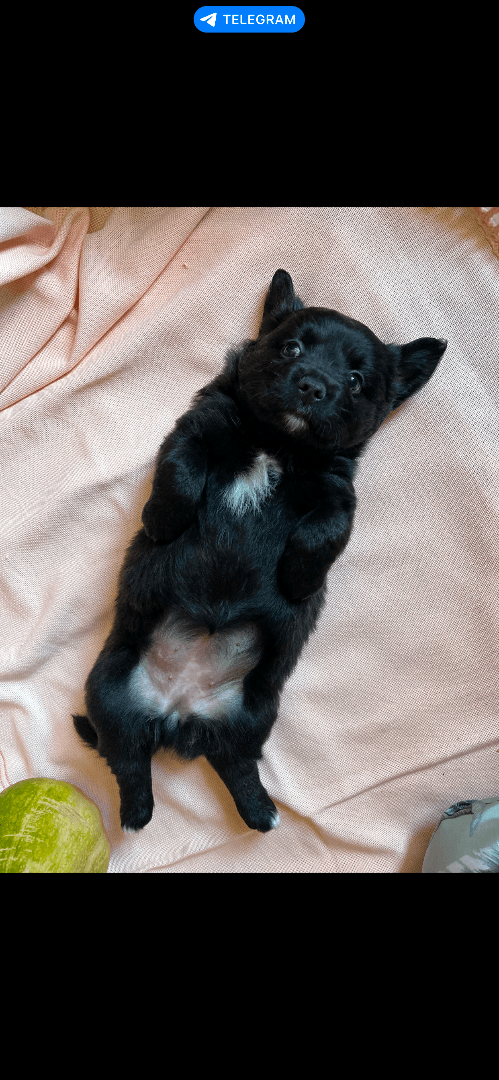 carousel-image-mobile-8