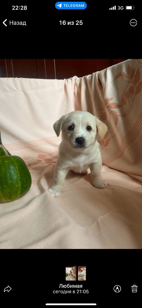 carousel-image-mobile-9