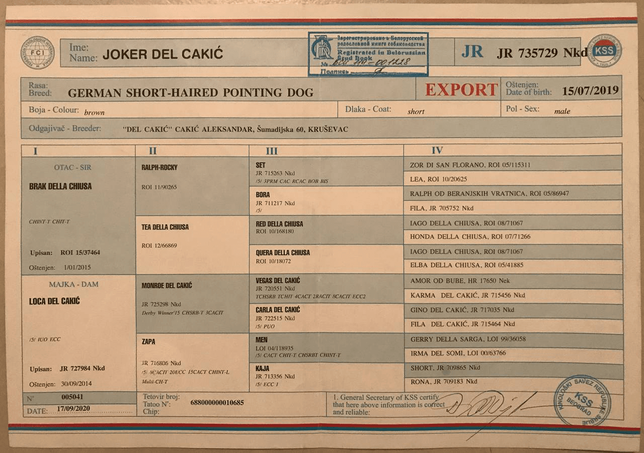 carousel-image-mobile-1