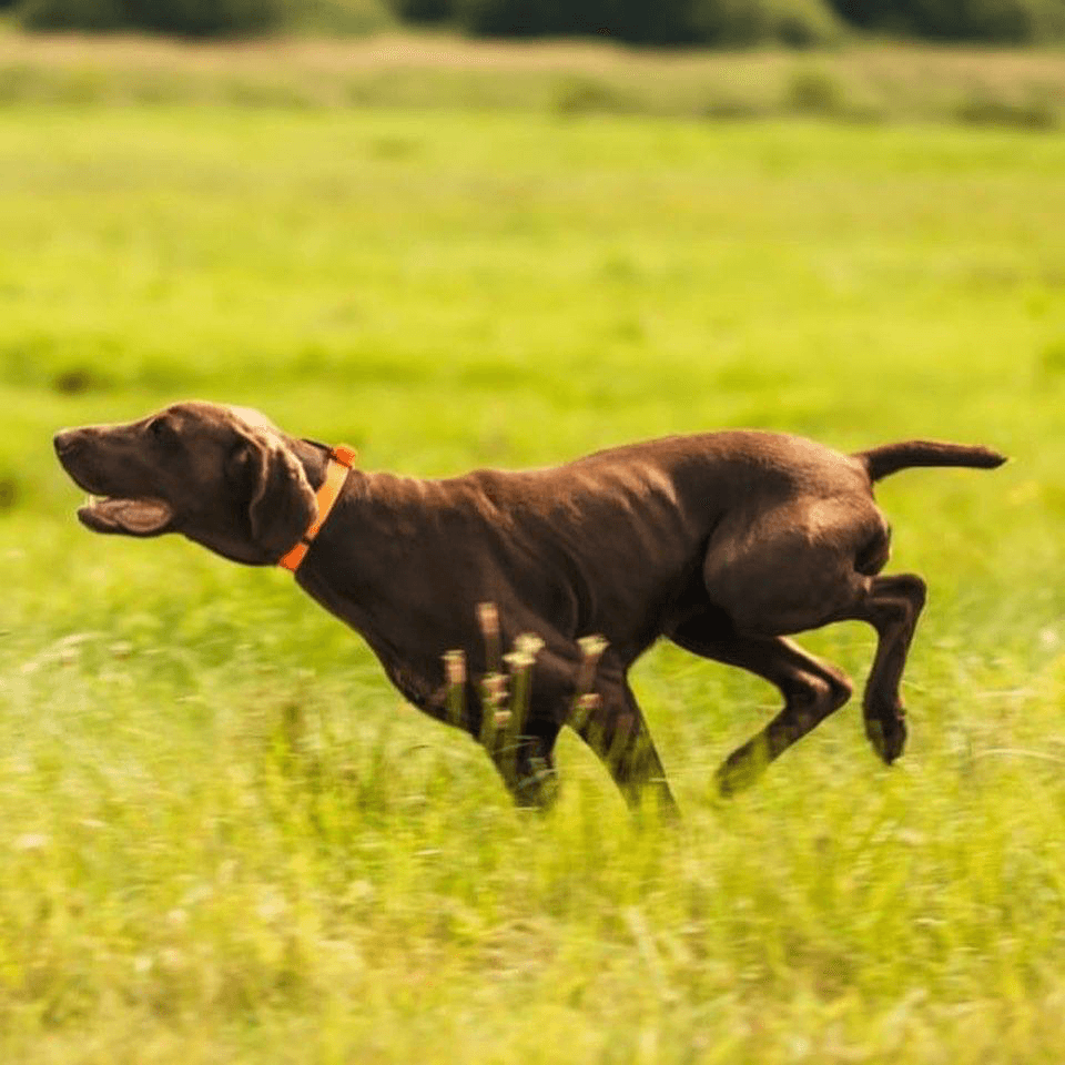 carousel-image-mobile-4