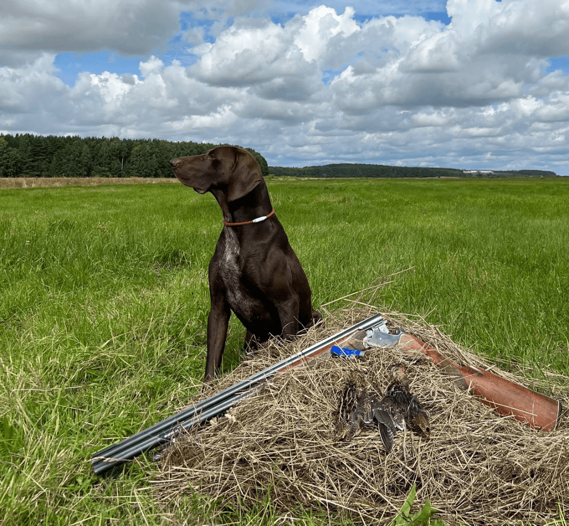 carousel-image-mobile-6