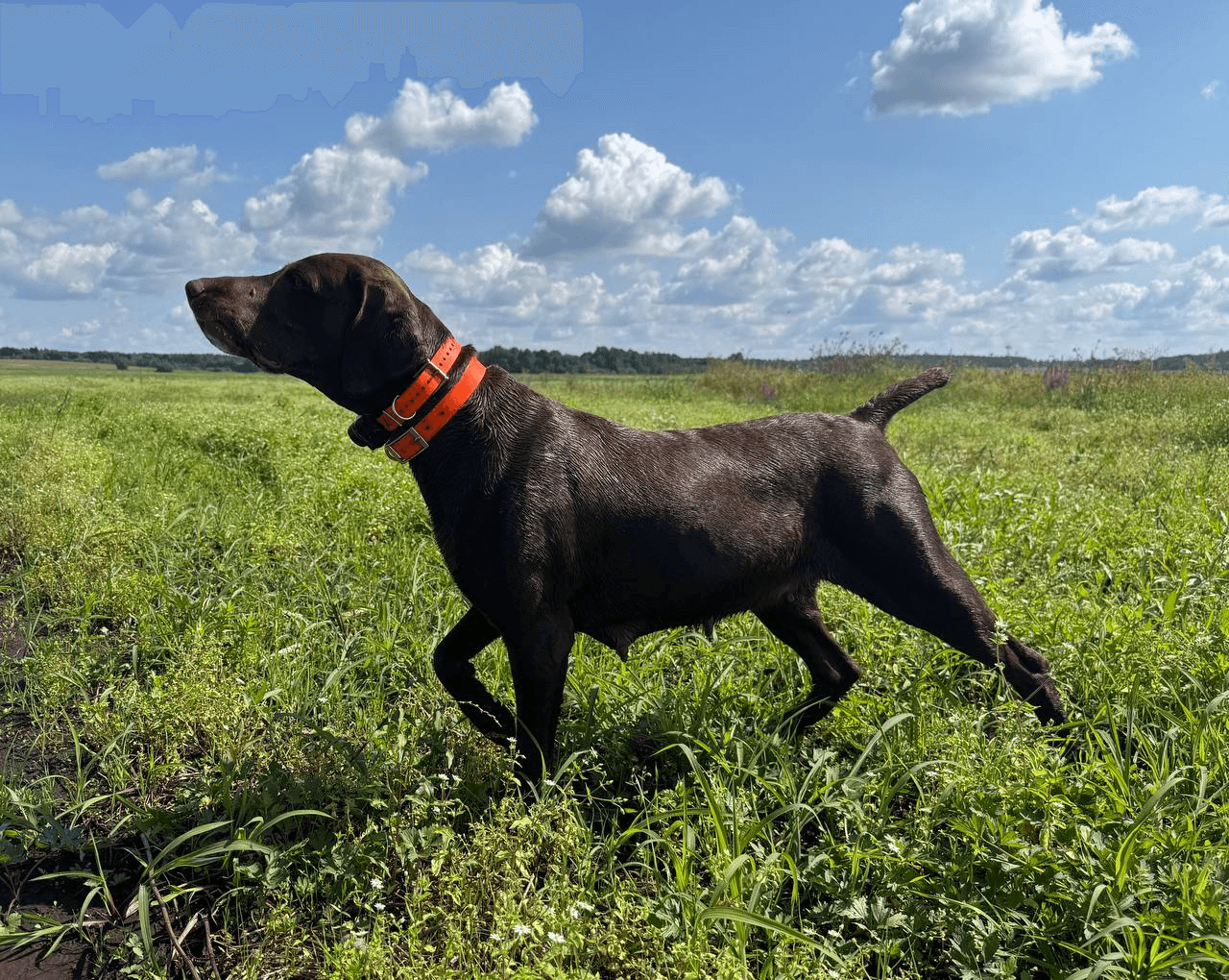 carousel-image-mobile-7