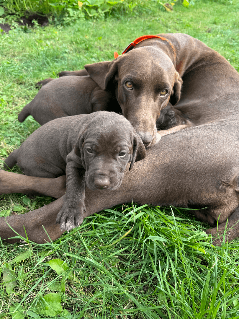 carousel-image-mobile-8