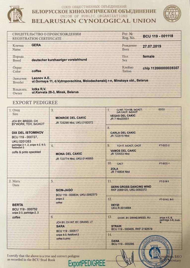 carousel-image-mobile-2