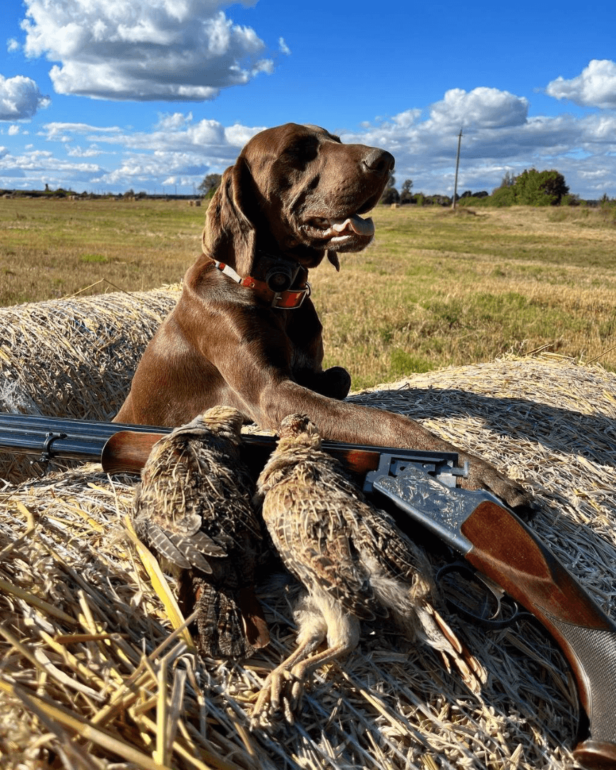 carousel-image-mobile-3