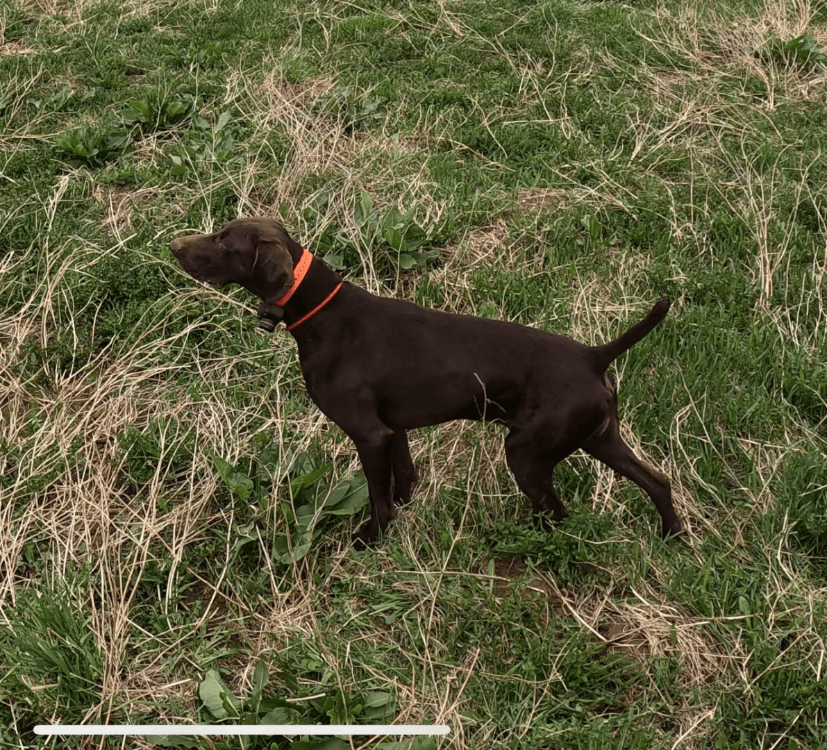 carousel-image-mobile-6