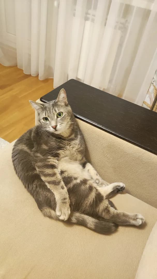 carousel-image-mobile-1