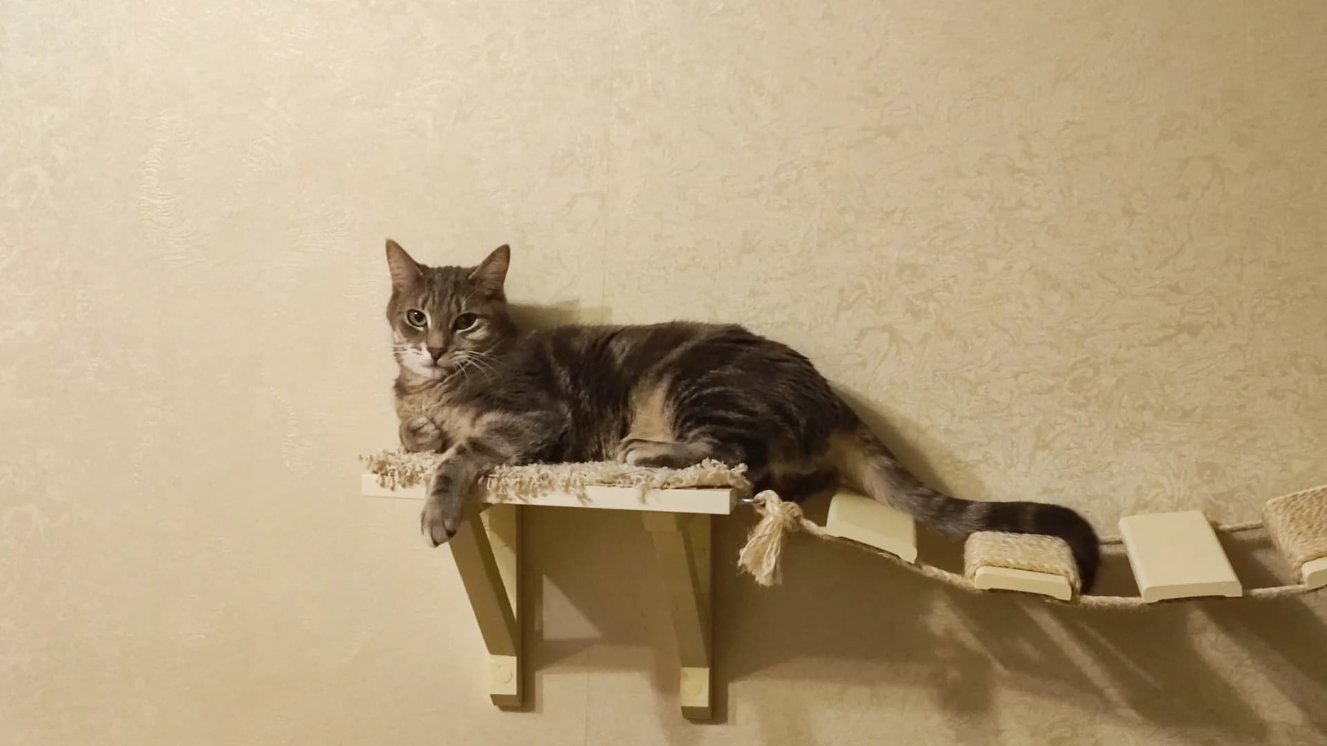 carousel-image-mobile-2