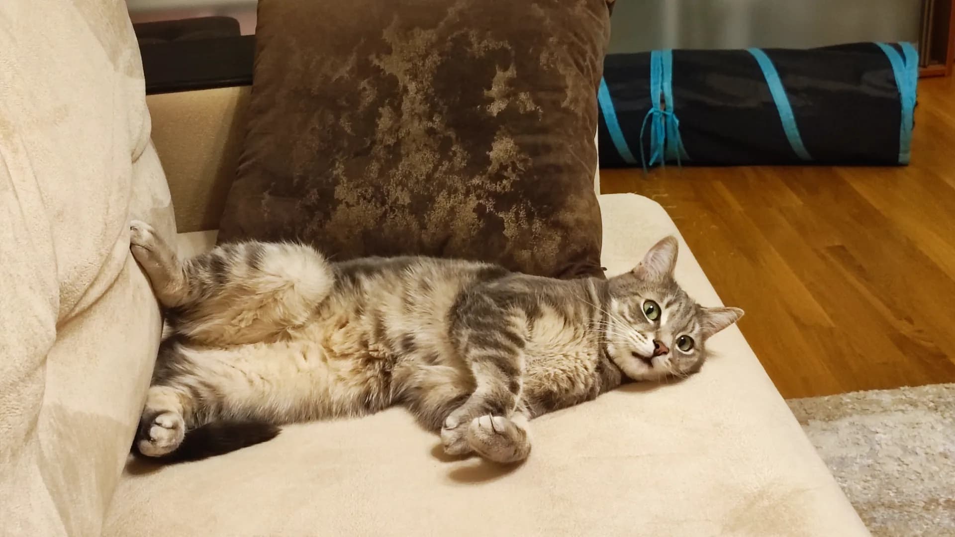 carousel-image-mobile-3