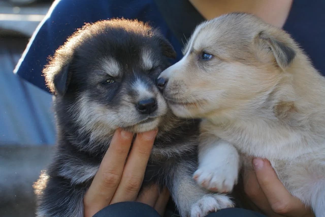 carousel-image-mobile-1