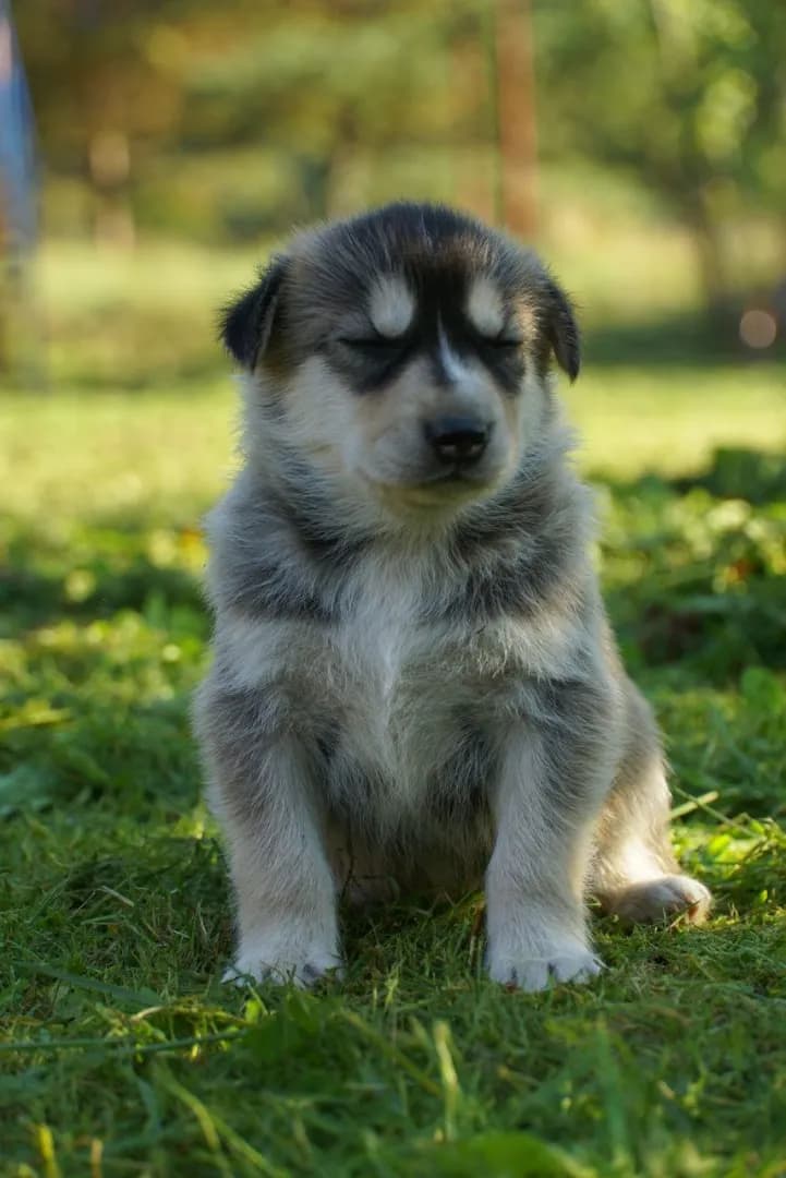 carousel-image-mobile-2