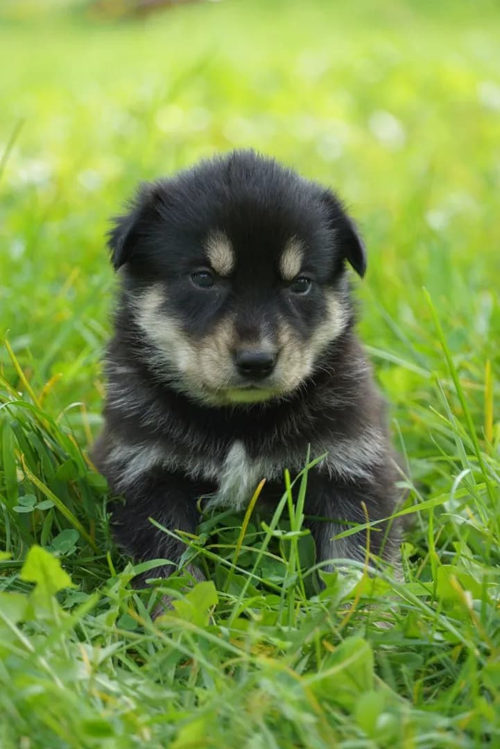 carousel-image-mobile-3