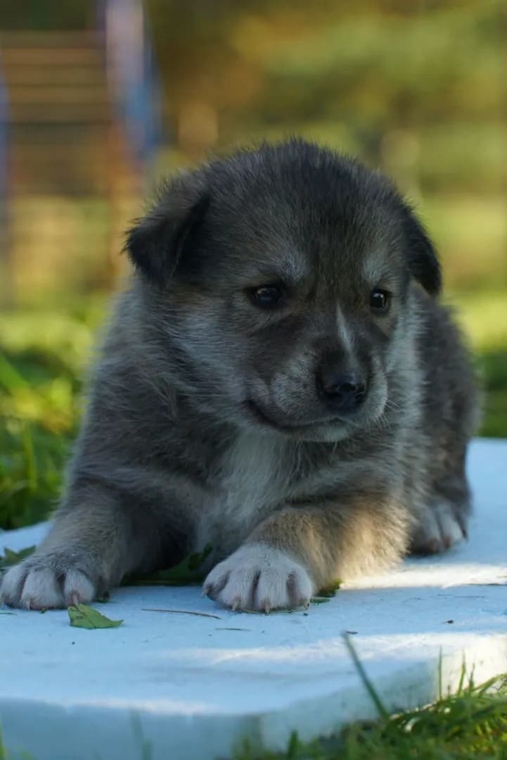 carousel-image-mobile-4