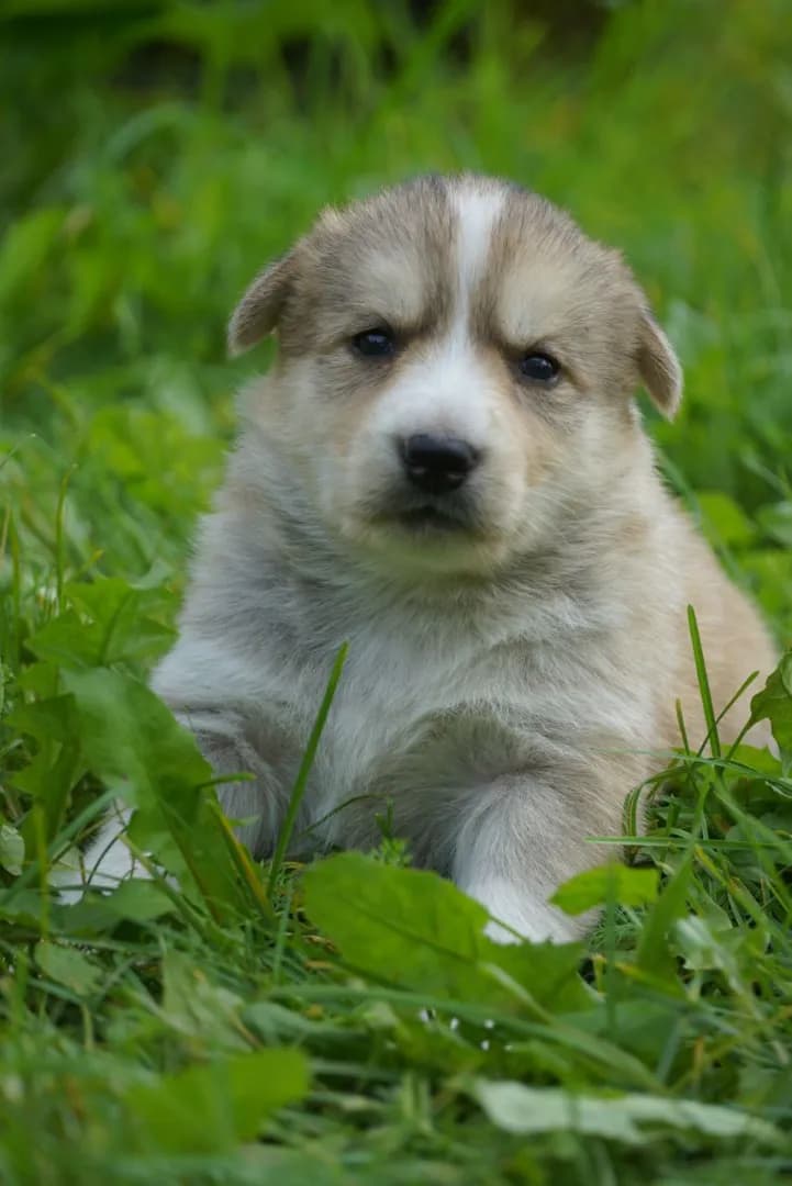 carousel-image-mobile-5