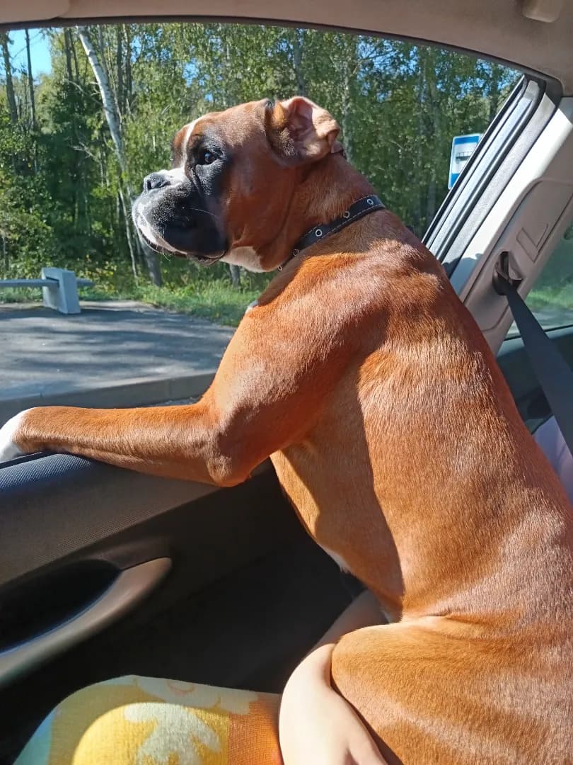 carousel-image-mobile-1