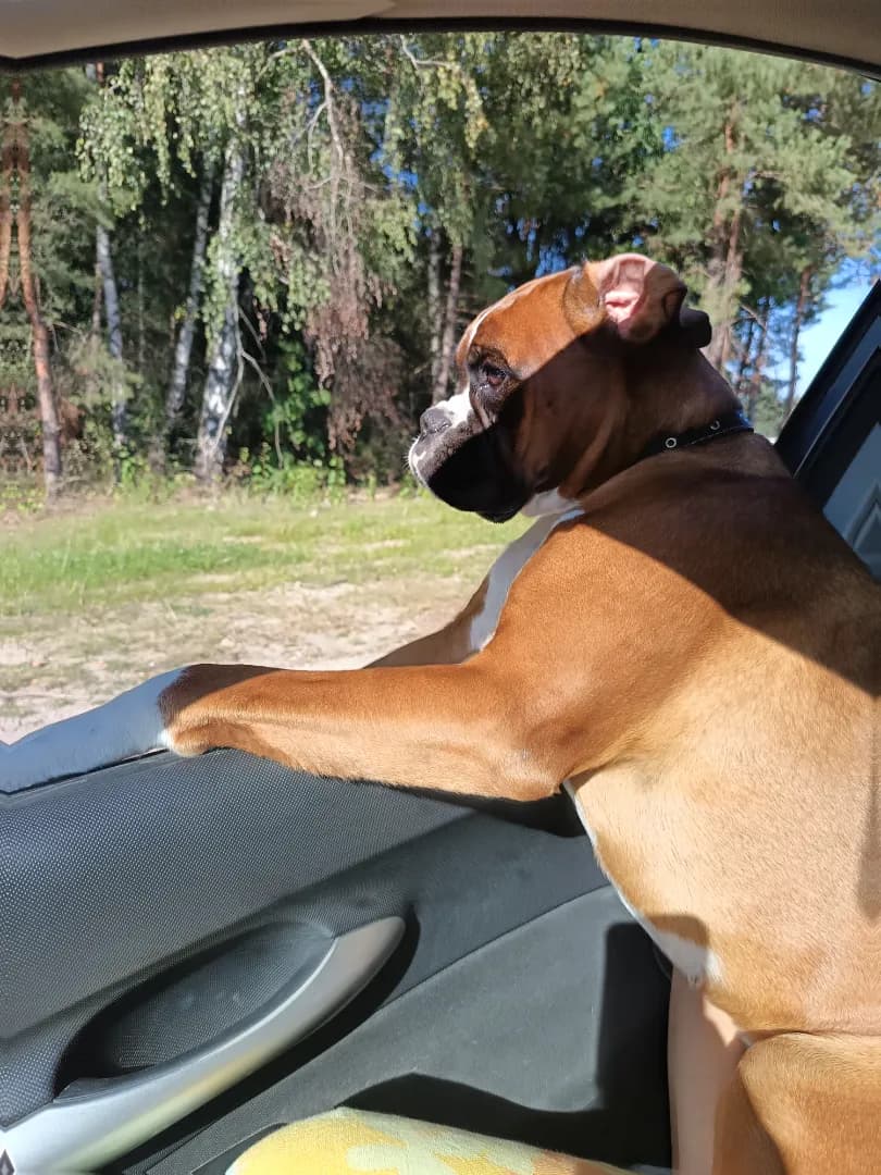 carousel-image-mobile-2