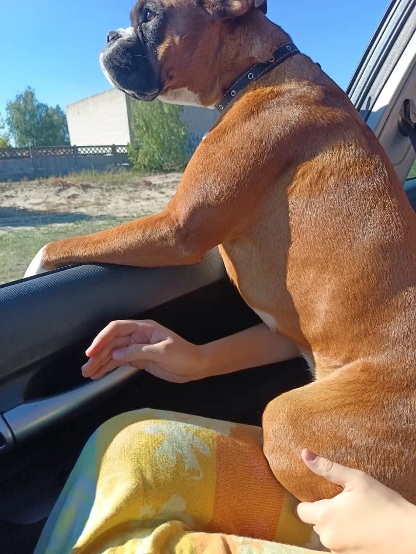 carousel-image-mobile-3