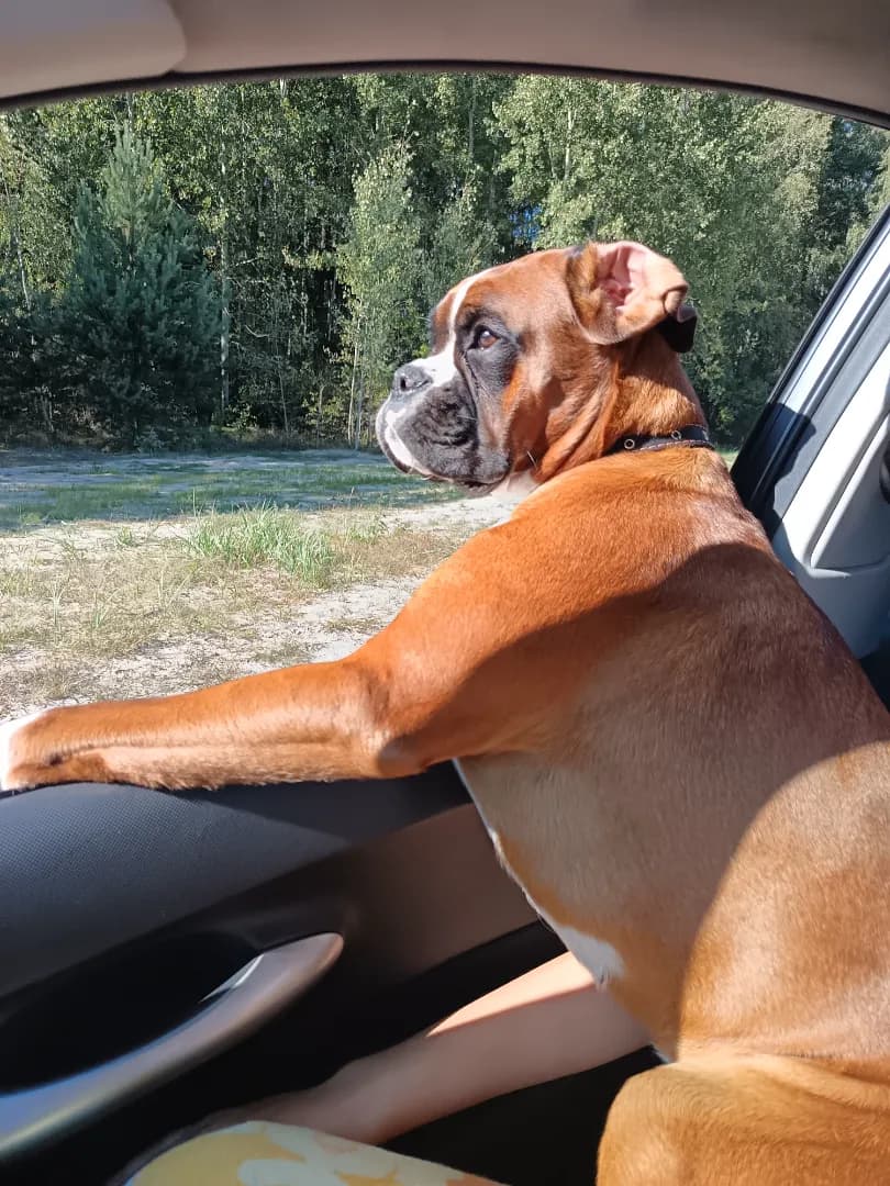 carousel-image-mobile-4