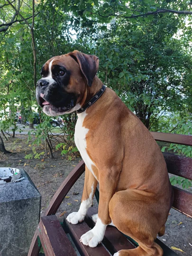 carousel-image-mobile-5