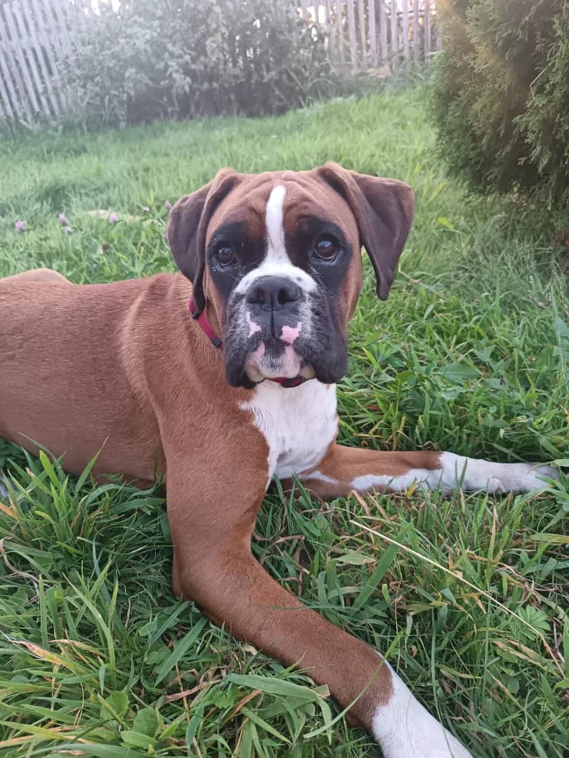 carousel-image-mobile-6