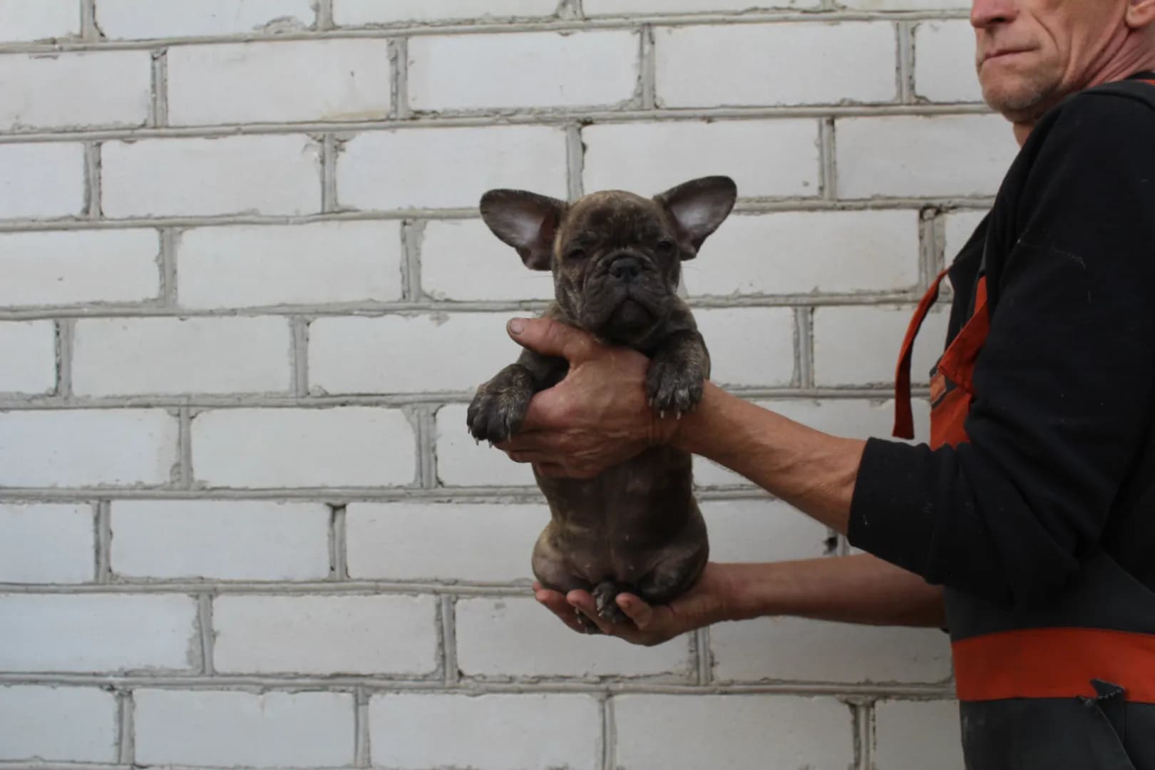 carousel-image-mobile-1