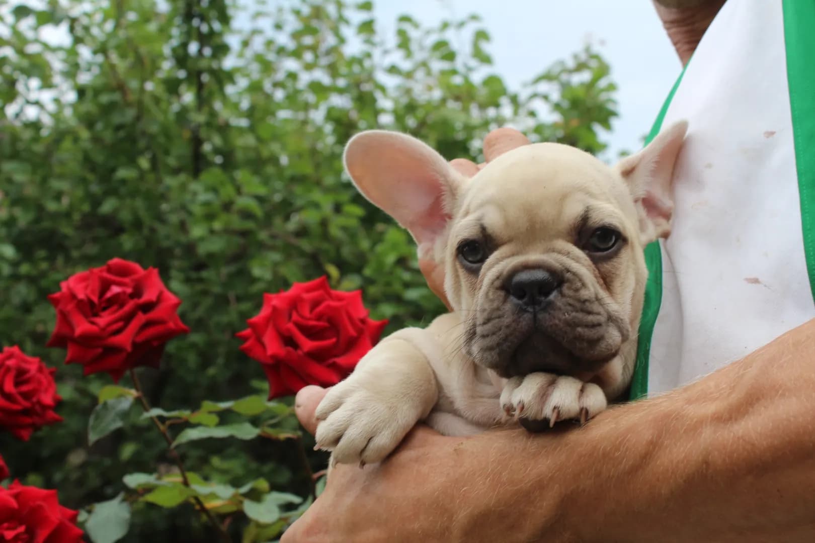 carousel-image-mobile-2