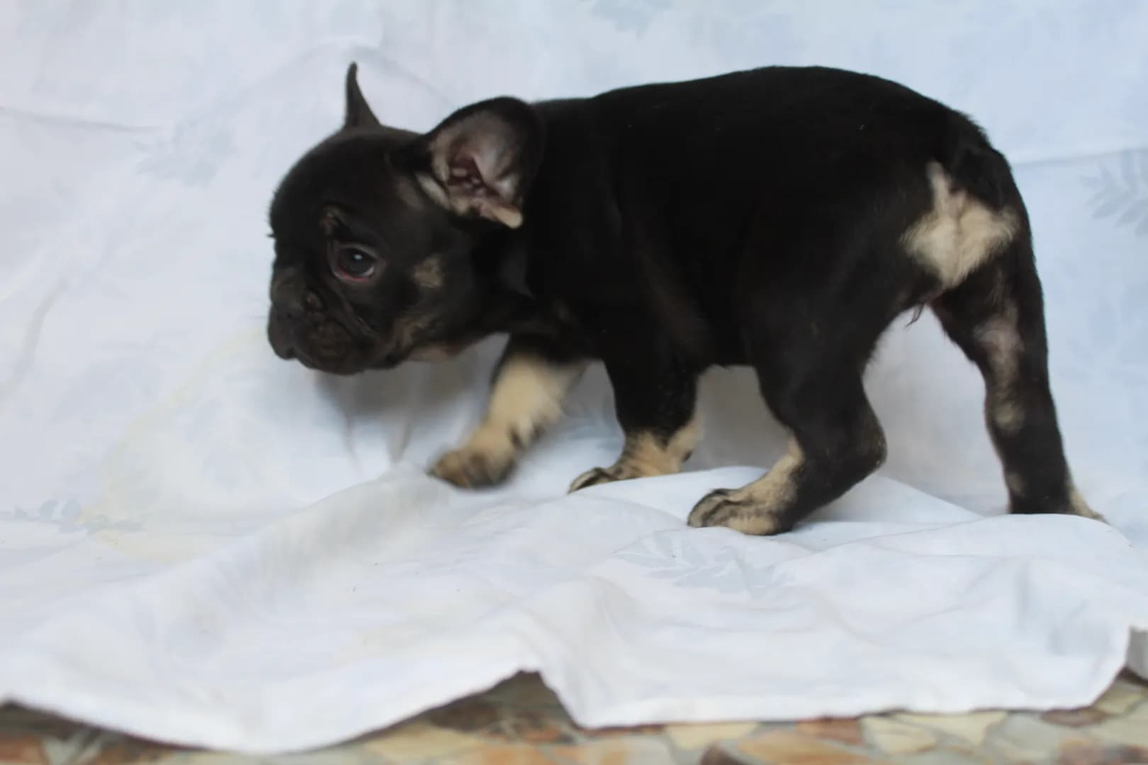 carousel-image-mobile-4