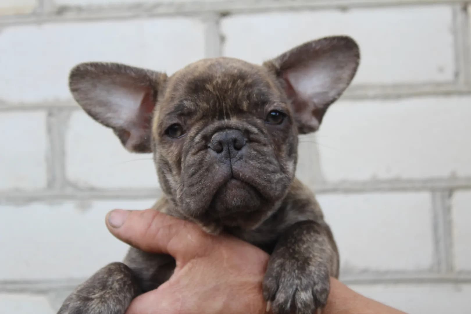 carousel-image-mobile-5