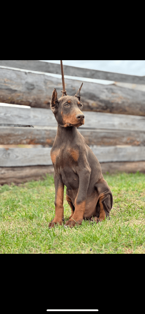 carousel-image-mobile-1