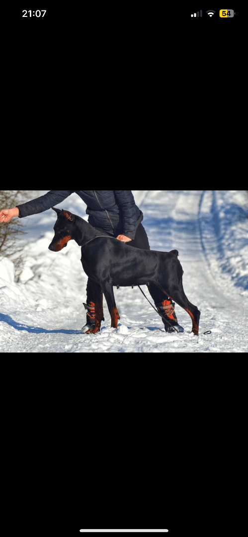 carousel-image-mobile-2