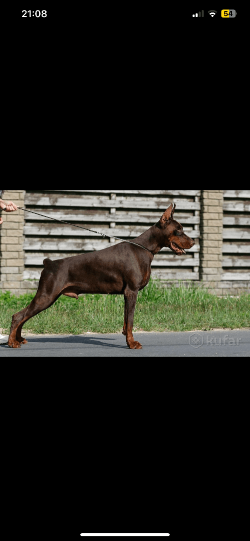 carousel-image-mobile-3