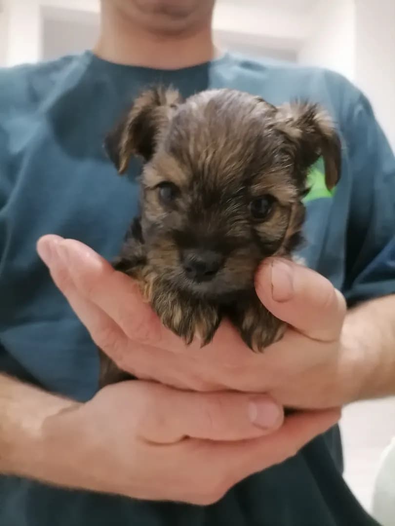 carousel-image-mobile-1