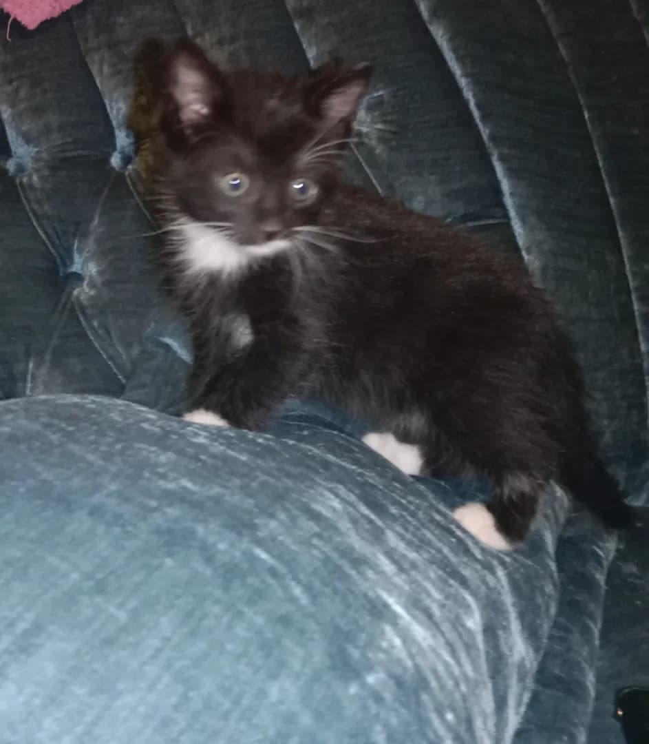 carousel-image-mobile-1