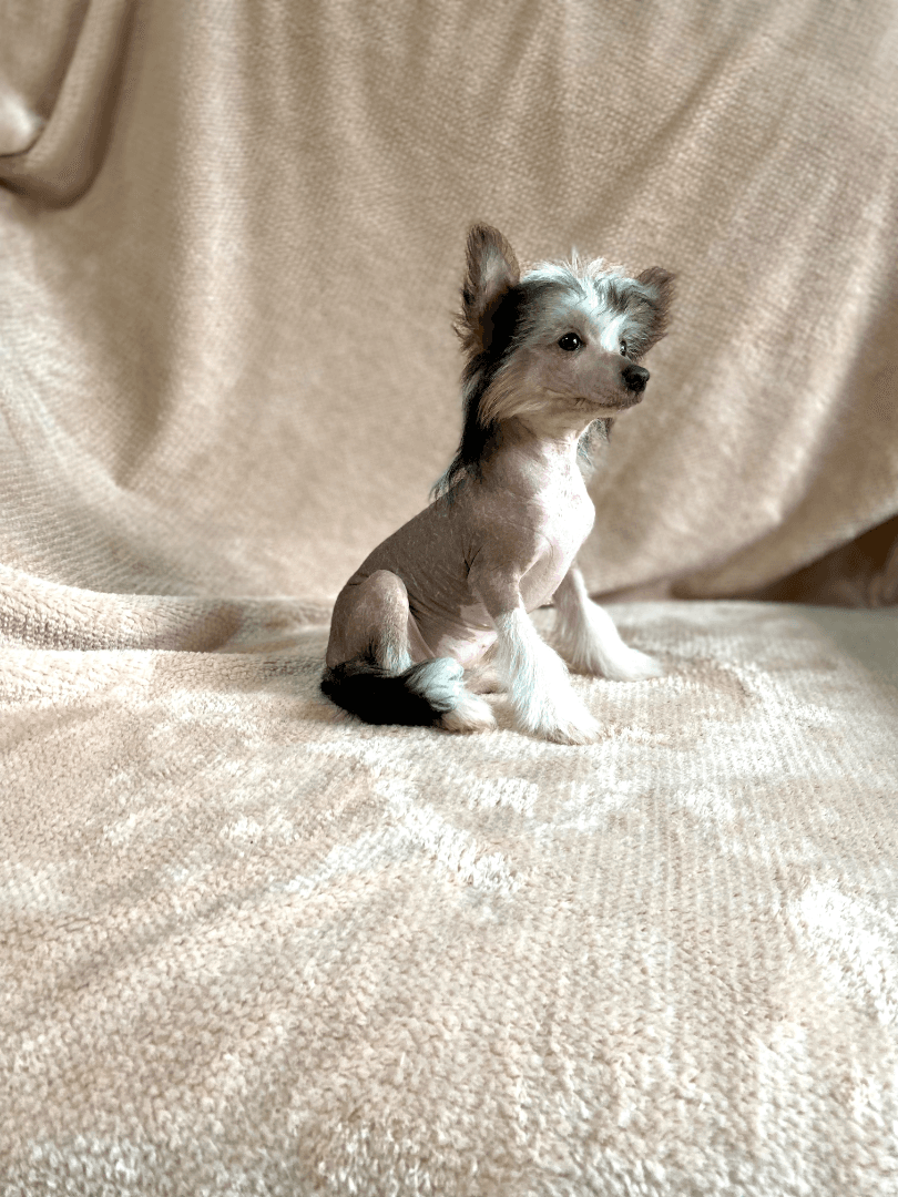 carousel-image-mobile-2