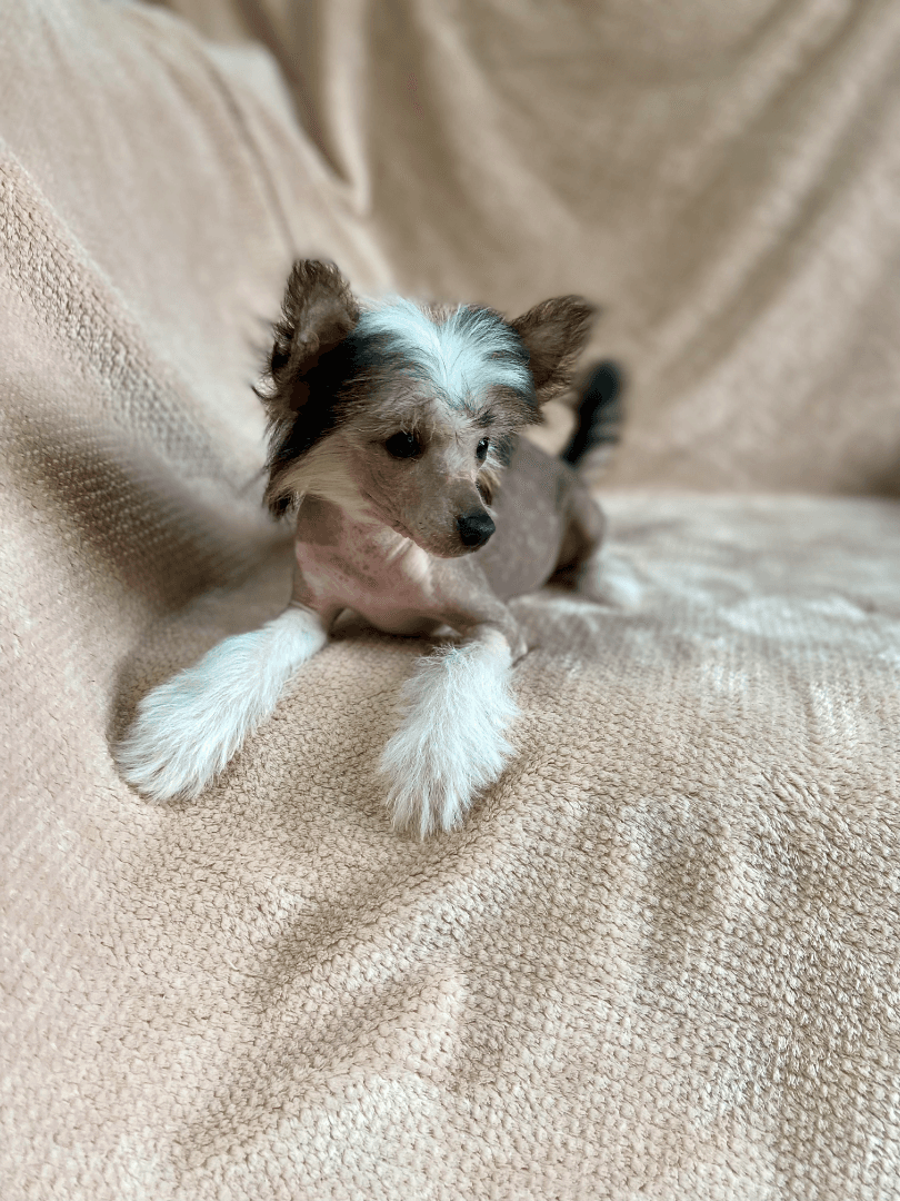 carousel-image-mobile-4