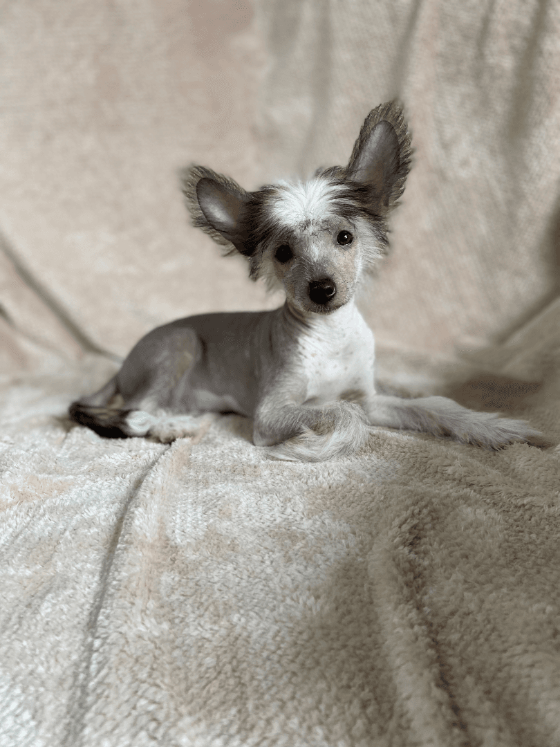 carousel-image-mobile-5