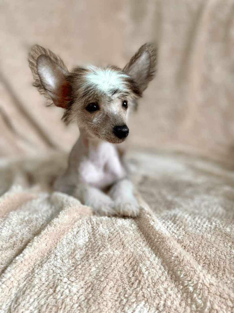 carousel-image-mobile-7