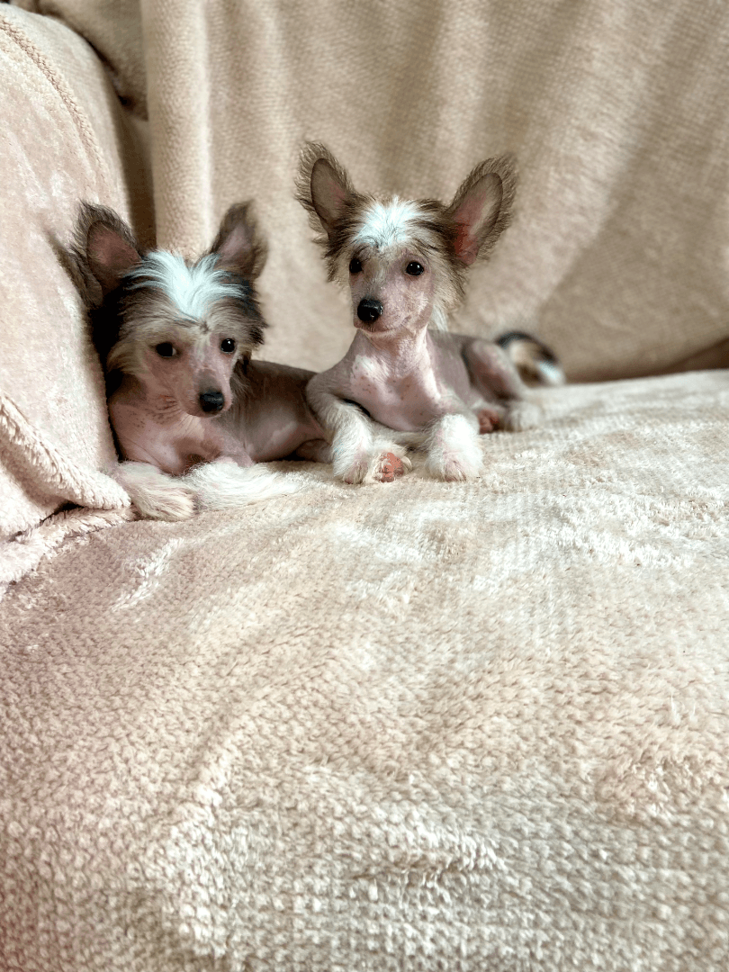 carousel-image-mobile-1