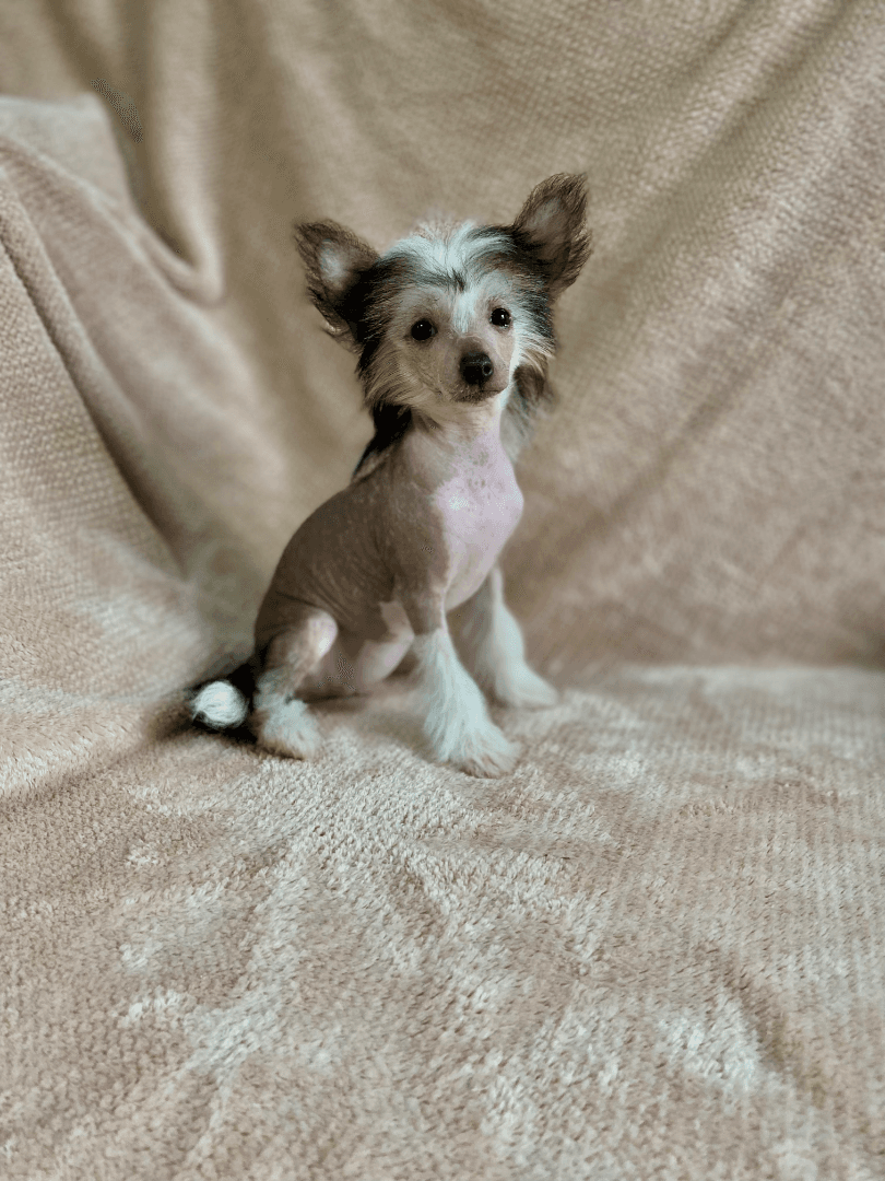 carousel-image-mobile-3