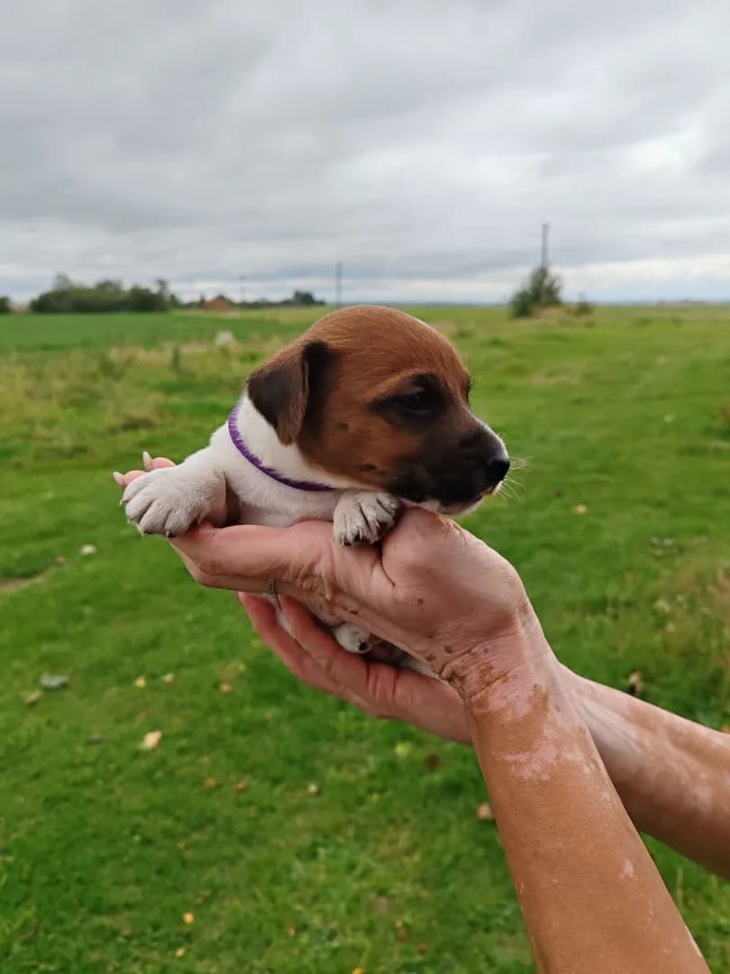 carousel-image-mobile-0