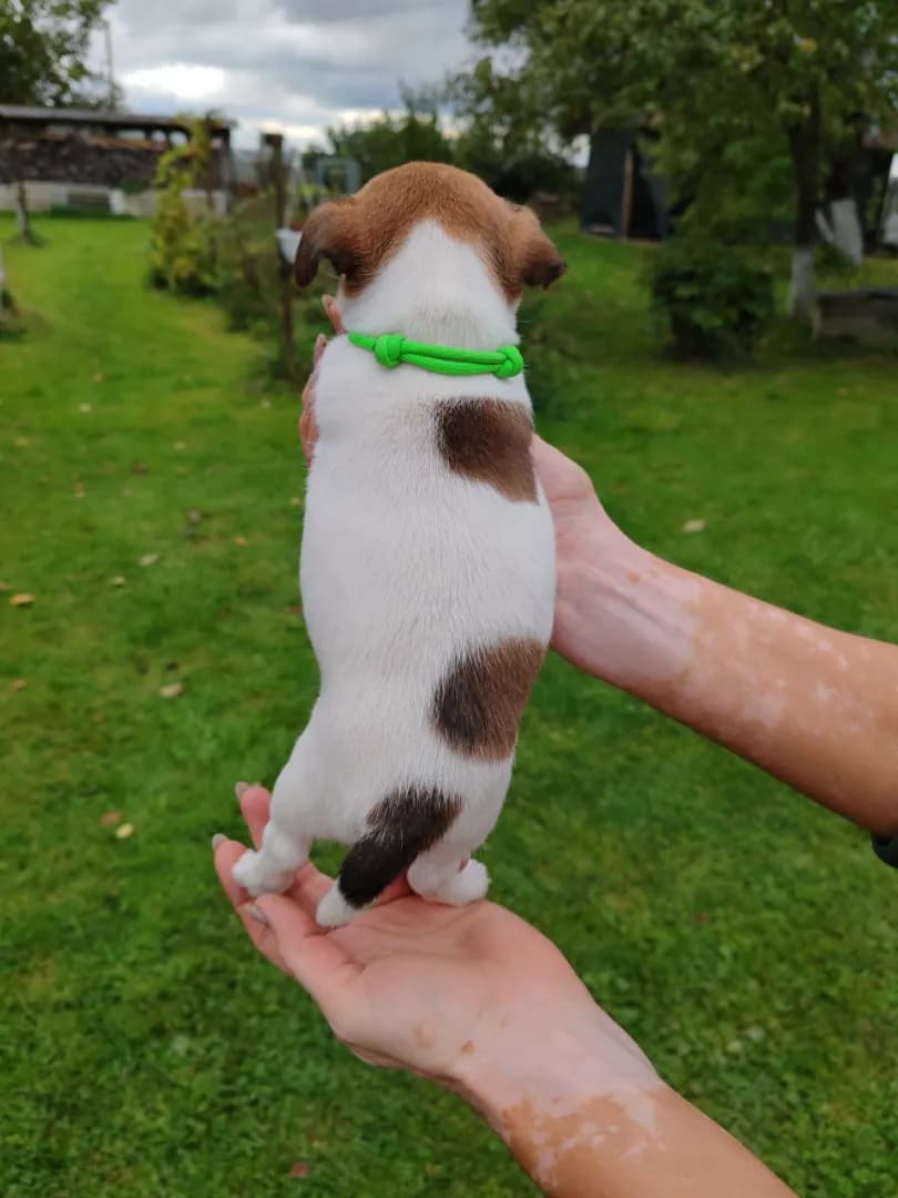 carousel-image-mobile-1